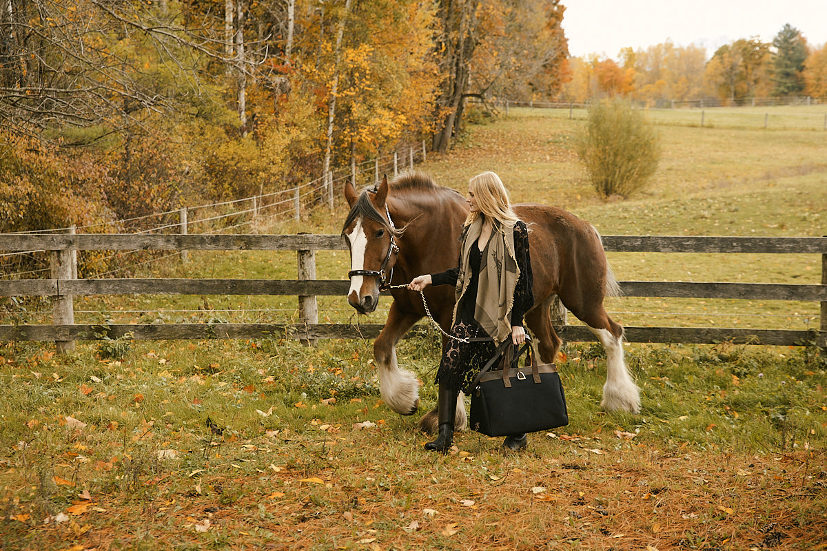 Shipping to the USA is reopened - USD prices are now tariff inclusive.