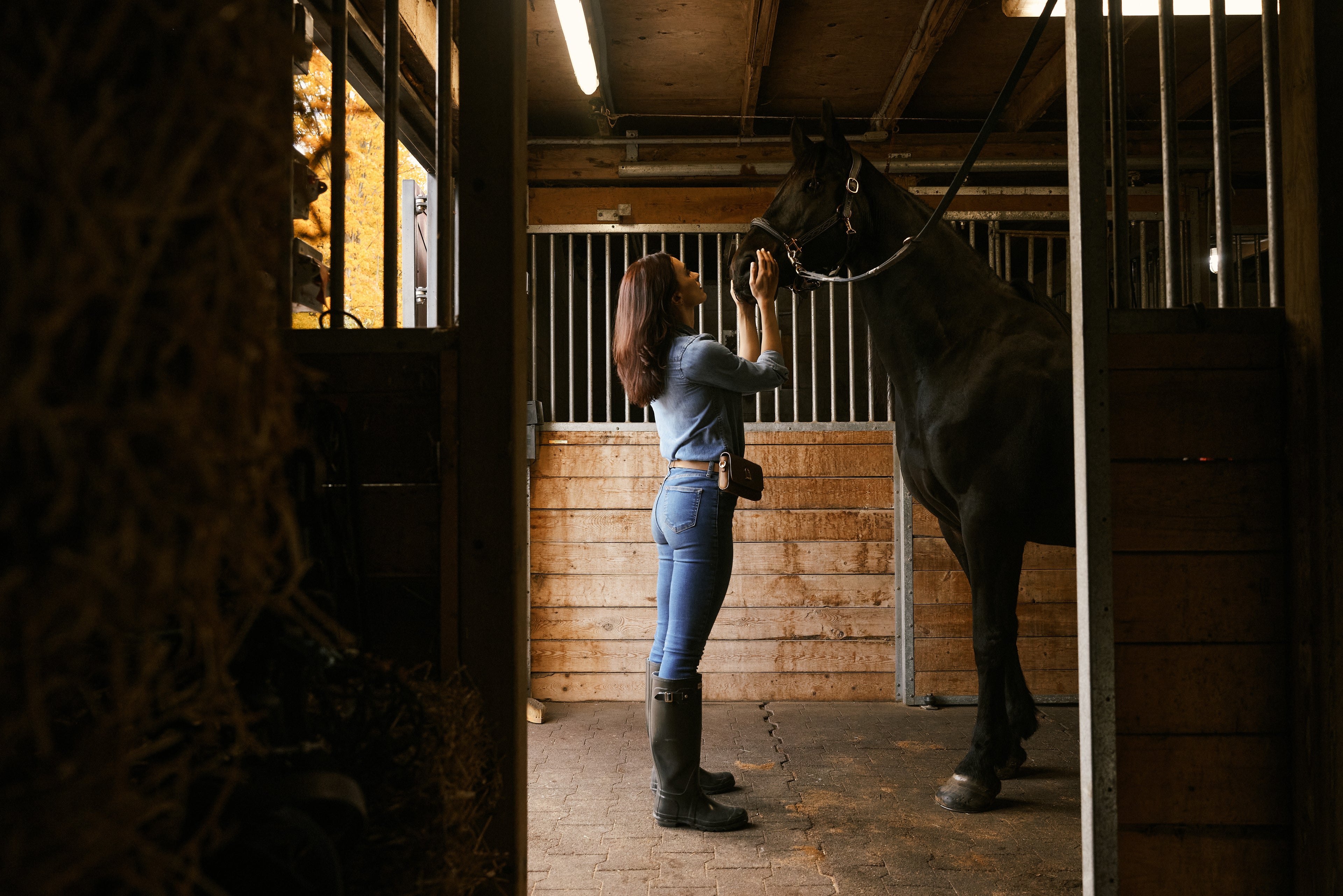 Woman kissing a horse's nose in a stable