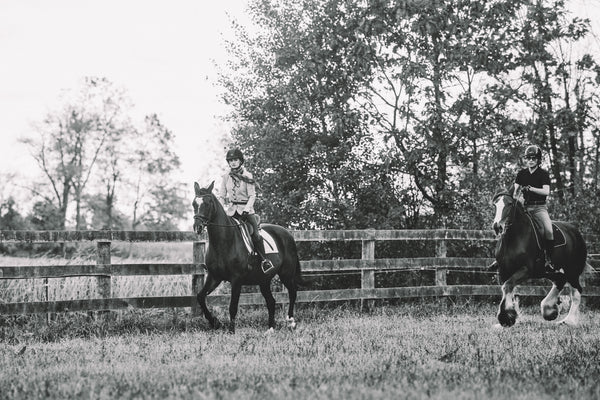 Two people riding horses in a fenced field with trees in the background