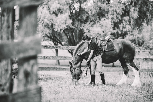 Person interacting with a horse in an outdoor setting