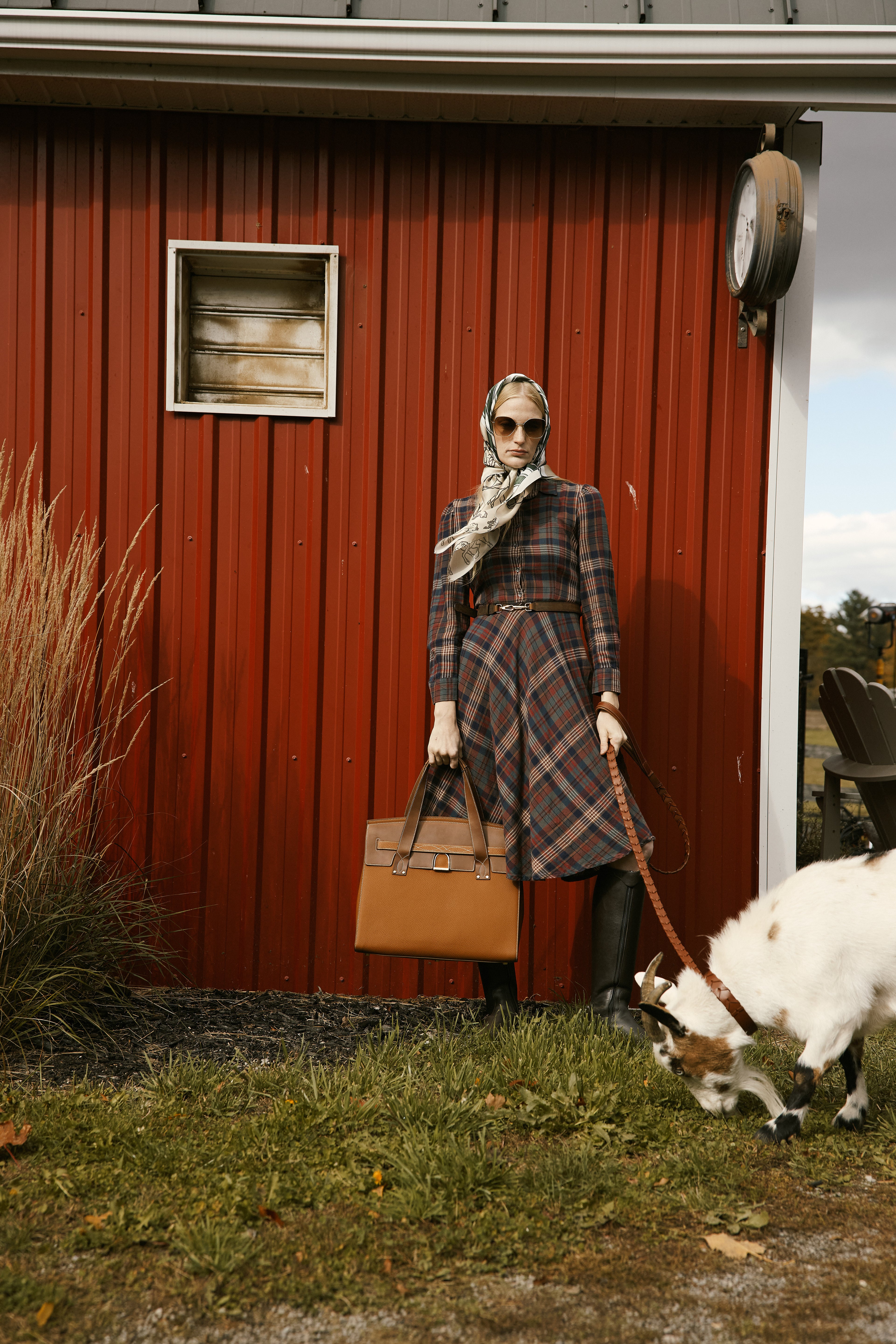 Woman in plaid dress with a large leather handbag standing next to a goat in front of a red barn.